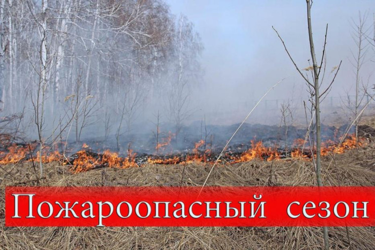 Объявлен пожароопасный сезон. Объявлен пожароопасный сезон.